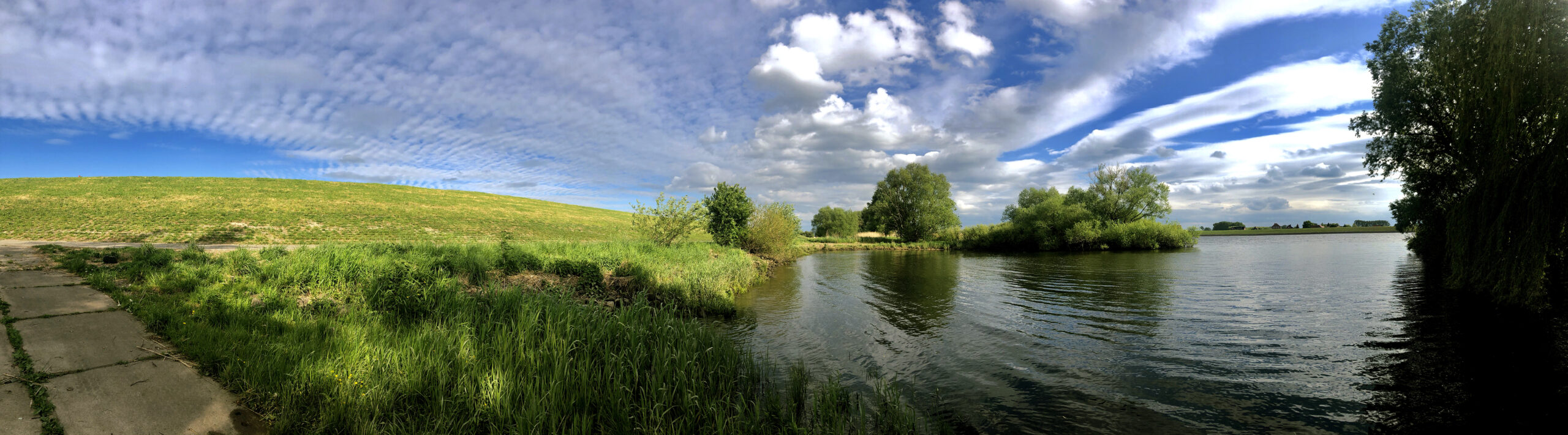 Mit Kat(h)er durch’s Leben.